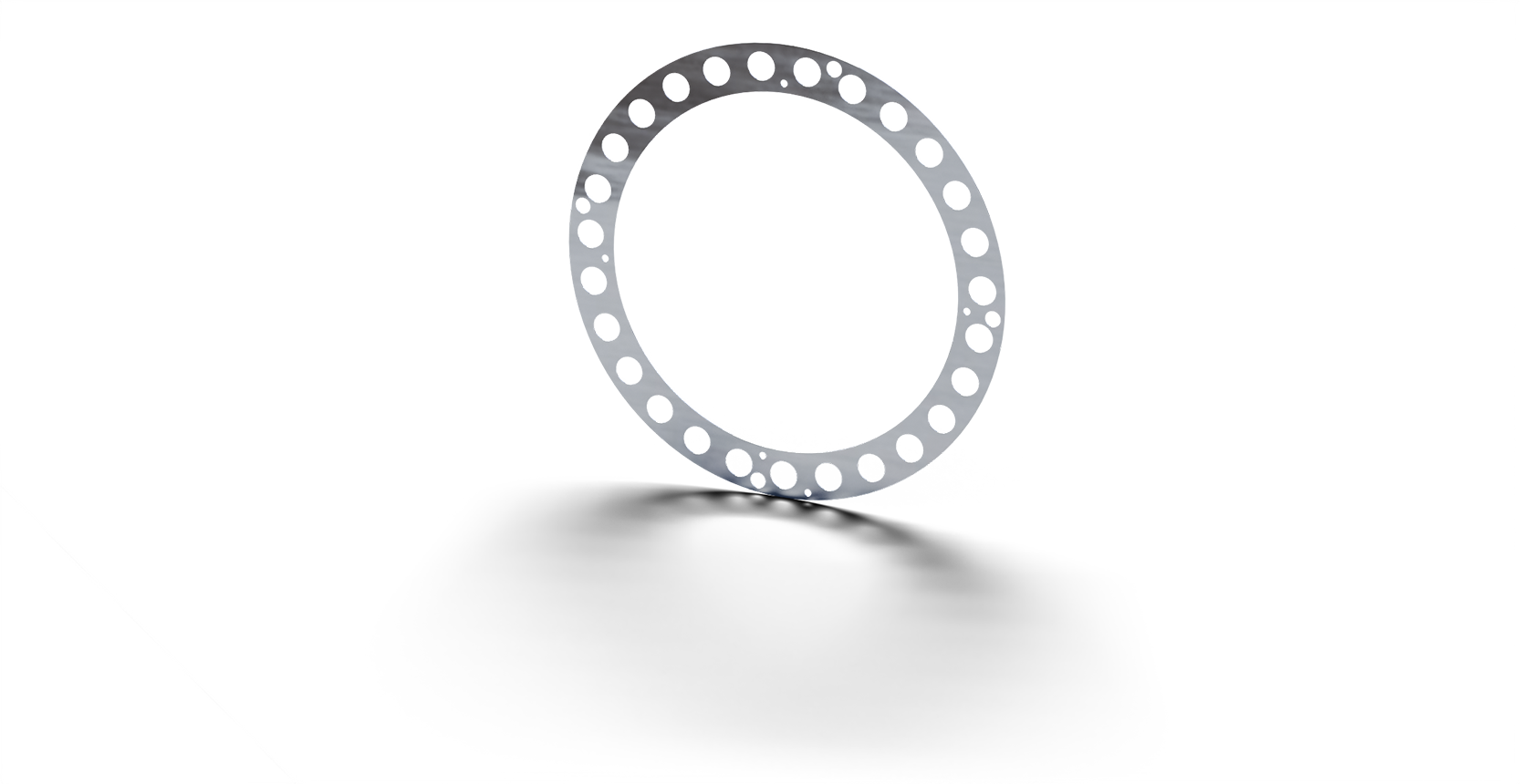 Seller rendering of a circular friction shim